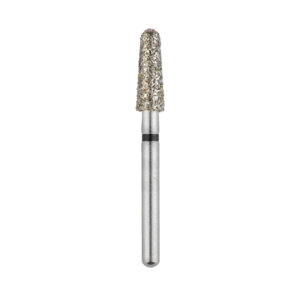 FRAISES FG X-GROS 855-025 PROC